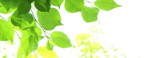 MRE�r�I�X �y�f�h�����N�̔��T�C�g��